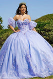 Quinceanera, quinceañera, sweet 16, engagement ball gown dresses