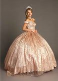 Quinceanera, quinceañera, sweet 16, engagement ball gown dresses