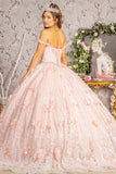 Quinceanera, quinceañera, sweet 16, engagement ball gown dresses