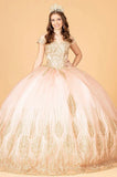 Quinceanera, quinceañera, sweet 16, engagement ball gown dresses