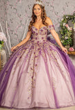 Quinceanera, quinceañera, sweet 16, engagement ball gown dresses