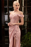 Prom & Evening formal pageant party gown mother dresse